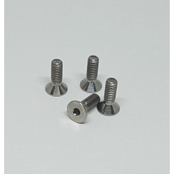 G12 Titanium Front End screws